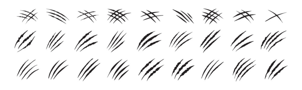 Claw scratches isolated. Black Bear tiger claws trails, animal scratched white paper. Flat scratch marks, racy wild beast tracks clipart