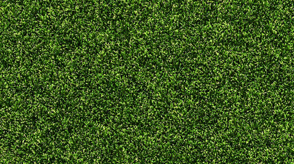 Seamless Green Grass Texture for Backgrounds lawn field