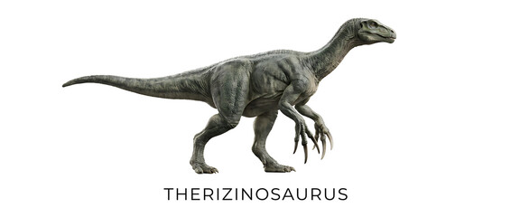 A detailed illustration of a Therizinosaurus dinosaur, standing on a white background.