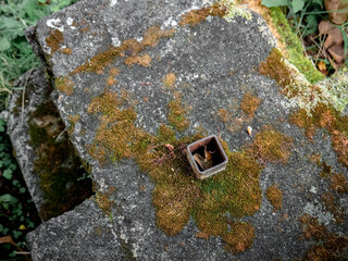 moss-covered concrete with a rusty metal box in the middle
