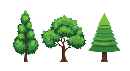 Obraz premium Collection of three different green trees including a pine tree, a leafy deciduous tree, and a tall conical tree on white.