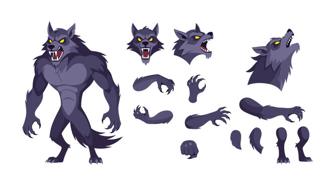Detailed character design sheet for a grey werewolf featuring a full body pose, facial expressions, and limb variations.