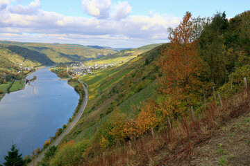 Weinberge an der Mosel und der Ort Enkirch im Landkreis Bernkastel-Wittlich in Rheinland-Pfalz im Herbst. Aussicht vom Wanderweg Moselsteig Seitensprung Leiermannspfad.  © Philipp