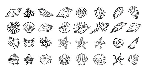 Shells doodle hand drawn style set. Outline seashells, starfish black outline sketch isolated elements on white background for design clipart template © Yanka