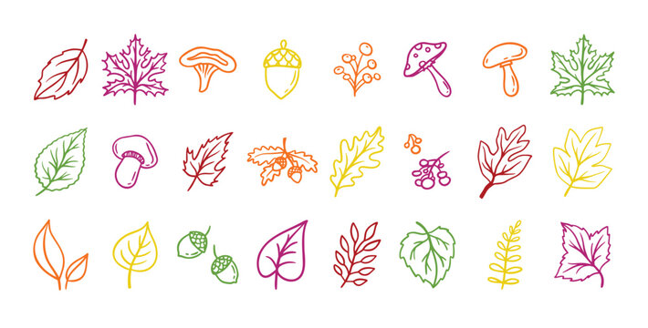 Autumn leaves outline doodle set. Botanical fall contour stickers. Vector leaf clipart drawings 