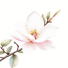 Obraz premium Pink Magnolia Flower with Leaves on Branch