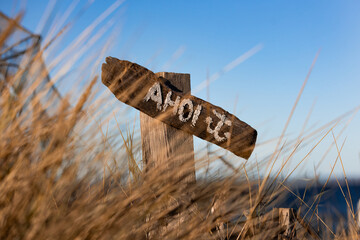 Holzschild mit der Aufschrift &bdquo;Ahoi&ldquo; zwischen D&uuml;nengras an der Ostseek&uuml;ste bei klarem blauem Himmel. Das Motiv steht f&uuml;r maritime Begr&uuml;&szlig;ung, K&uuml;stengef&uuml;hl und norddeutsche Strandatmosph&auml;re.