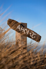 Holzschild mit der Aufschrift &bdquo;Ahoi&ldquo; zwischen D&uuml;nengras an der Ostseek&uuml;ste bei klarem blauem Himmel. Das Motiv steht f&uuml;r maritime Begr&uuml;&szlig;ung, K&uuml;stengef&uuml;hl und norddeutsche Strandatmosph&auml;re.