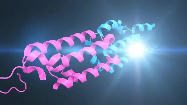 Molecular structure illustration showing protein interaction with pink and blue ribbons, representing scientific research.
