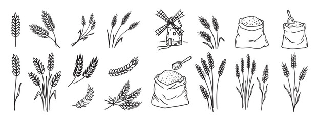 wheat and cereal plants, rye barley and ears of wheat in bag doodle hand drawn icon set. Outline drawing ears of wheat line clipart symbol collection © Yanka