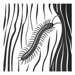 Black and white stylized illustration of a segmented centipede creature with numerous legs and prominent antennae suitable for a tattoo design.
