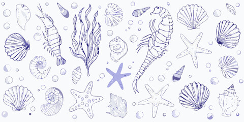 A delicate blue line drawing showcasing various ocean life and shells © Kabita