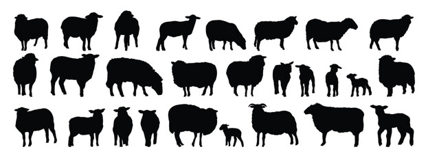 sheep silhouette set. sheep and lamb isolated farm animal silhouette icon vector collection © Yanka