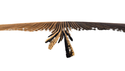 Wide shot of a freshly tilled field under daylight, rows and furrows dominate the scene