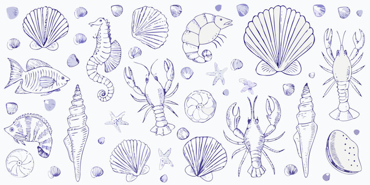 A charming collection of hand drawn marine life and seashells in blue tones