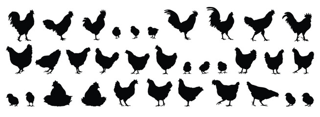 hen or chicken, rooster and chicks silhouette set. hen, rooster and chicks isolated farm animal silhouette icon vector collection © Yanka