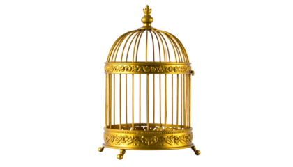 Ornate, golden birdcage, detailed design, isolated on black background, full view