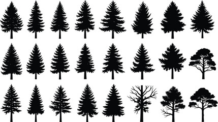 Black and white silhouettes of various trees and coniferous plants in a grid pattern © Ambia Art