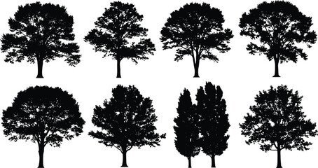 Eight black silhouette trees on white background