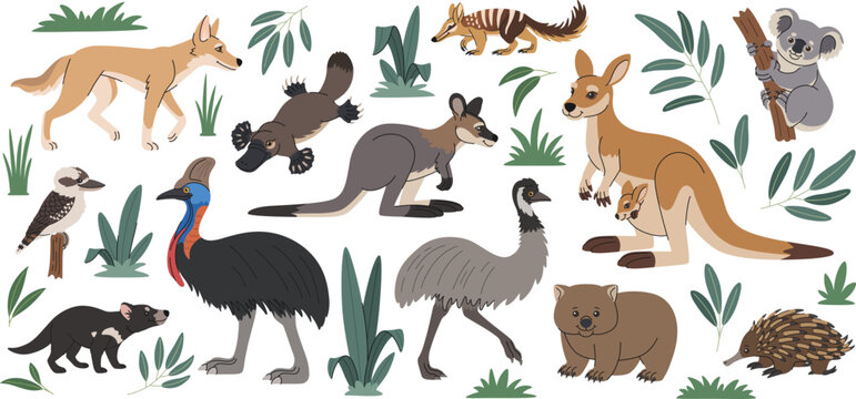 Australian animals set. Cartoon Australian inhabitants, marsupials, mammals, birds. Kangaroo, wallaby, koala, emu, dingo and platypus and other representatives of Australian and Tasmanian fauna.
