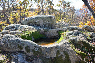 A rock formation with a hollow carved into it containing water an ancient Thracian sanctuary an altar an offering a ceremony autumn vegetation nature flora © Владимир Берлизов