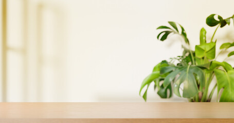 table empty room with green plant