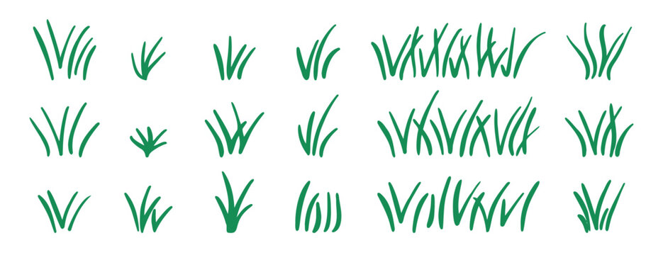 Doodle bunch of grass. Hand drawn lawn bush of grass icon hand drawn set. Outline grass line drawing clipart symbol collection