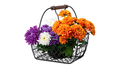 Metal basket filled with vibrant orange, purple, and white chrysanthemums, greenery