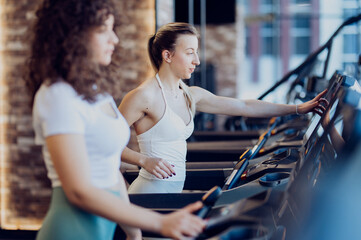 Sporty girls collaborating and preparing for a cardio session at the gym