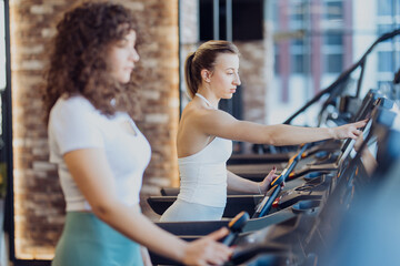 Sporty girls collaborating and preparing for a cardio session at the gym