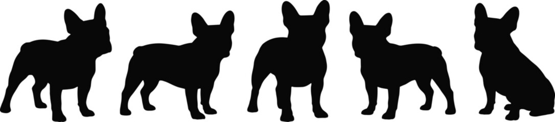 French bulldog silhouettes set in different poses, cute dog shapes isolated on white background, modern pet illustration collection © Wajkuruni