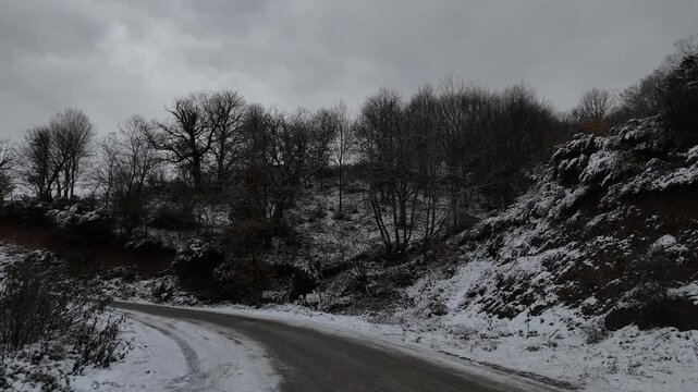 A calm winter scene from Termal, Yalova, showcasing snow-covered forests, quiet natural surroundings, and a soft winter atmosphere. The landscape reflects seasonal beauty, fresh air, and peaceful outd