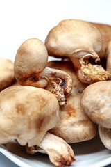Pile of Chinese mushrooms on a white background