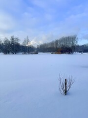white snowy winter park with trees, buches, iced pond