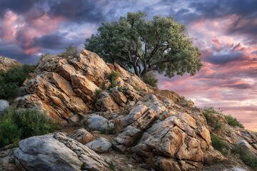 Obraz premium Majestic rocky landscape with lone tree at sunset