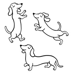 Cute dachshund dog line art illustration set. Hand drawn black and white dog poses isolated on transparent background, perfect for coloring books, kids design, prints, stickers and pet projects.