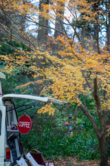 鎌倉251227　浄智寺1　紅葉