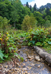 the sources of a mountain river high in the mountains on alpine meadows during the melting of snow, morning in nature