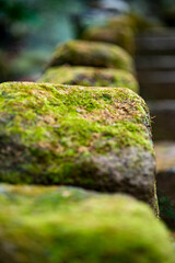 鎌倉251227　建長寺10　半僧坊