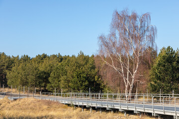 People walking on wooden boardwalk through coastal dunes in Hel, Poland.
