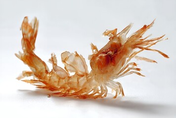 Shrimp shell exoskeleton translucent seafood remains on white background culinary ingredient waste