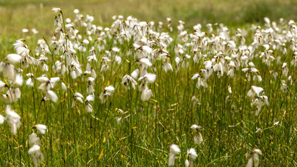 Hiking around Scuol, Swiss Alps