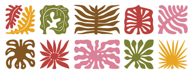Fototapeta premium palm tree leaves boho silhouette nature set. groovy summer palm leaf geometric poster. summer abstract square tropical icons freehand retro style