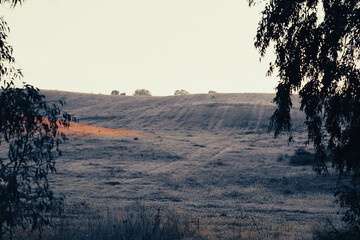 fondo paisaje oto&ntilde;o