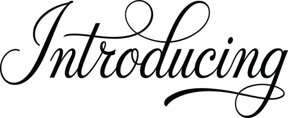 Elegant, hand-written best wishes calligraphy lettering vector, featuring a bold black brush script design isolated on white background