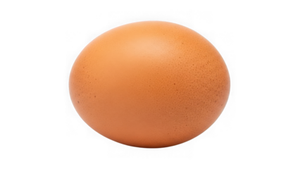Single brown egg