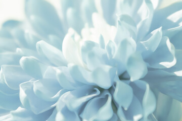Subtle, airy floral pattern: a soft-focus abstract background of interwoven pastel petals