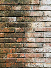 Obraz premium Close up of weathered exposed brick wall with red and decaying white color on the surface. Decomposed ancient bricks, suitable for rustic vintage background. Seamless texture.