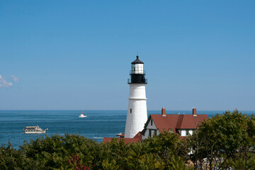 Coastal lighthouse framed by foliage under blue sky