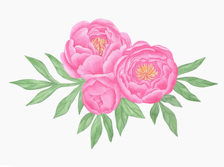 Hand painted floral elements set. Watercolor botanical illustration of peony and leaves.